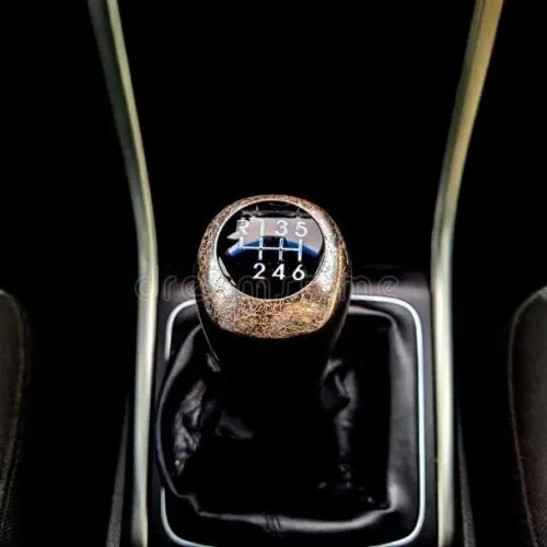Gear Knob